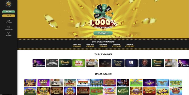 Wild 24 Casino Review