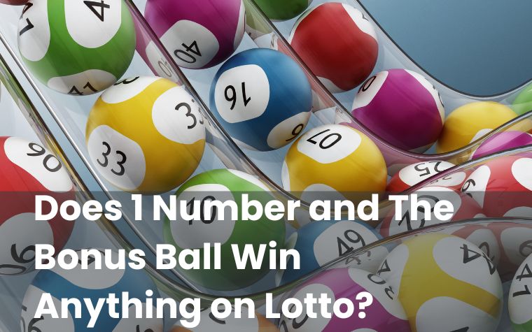 Does 1 Number and The Bonus Ball Win Anything on Lotto?