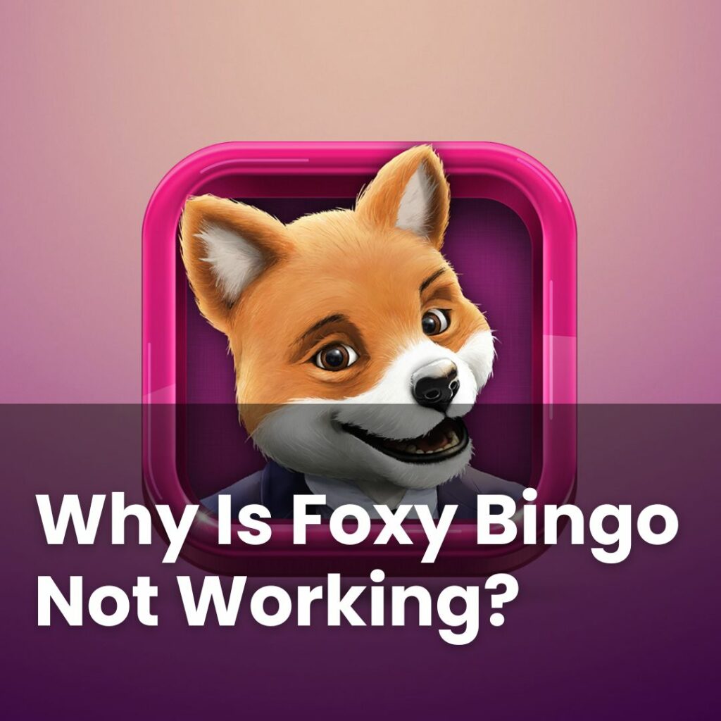 Foxy Bingo Not Working